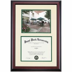 Point Park Premier Alumni Park Diploma Frame