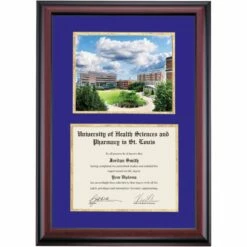 University Of Health Sciences And Pharmacy In St Louis Premier College Quad Diploma Frame 5 University Of Health Sciences And Pharmacy In St Louis Premier College Quad Diploma Frame -gift shop DSSHEFSLPPC4PGPHM