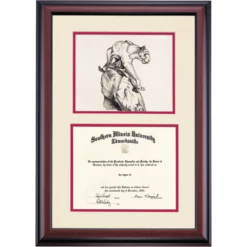 Southern Illinois Edwardsville Premier Cougar Statue Diploma Frame
