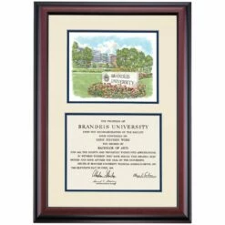 Brandeis Premier Brandeis University Sign Diploma Frame -gift shop DSSHEWBRUPC5NBUW