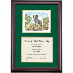 Colorado State Premier The Ram Sculpture Diploma Frame -gift shop DSSHEWCSUPC4HGOWP