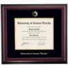 Central Florida School Color Traditional Diploma Frame