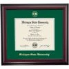 Michigan State School Color Traditional Diploma Frame