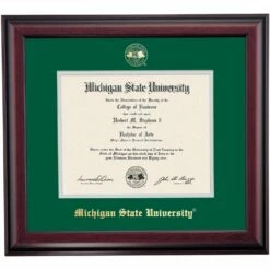 Michigan State School Color Traditional Diploma Frame