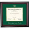 South Florida School Color Traditional Diploma Frame