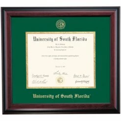 South Florida School Color Traditional Diploma Frame
