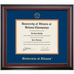 Illinois At Urbana-Champaign School Color Traditional Diploma Frame
