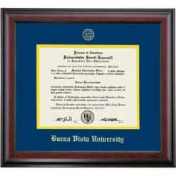 Buena Vista School Color Traditional Diploma Frame