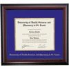 University Of Health Sciences And Pharmacy In St Louis School Color Traditional Undergraduate Diploma Frame