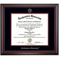 Northeastern School Color Traditional Diploma Frame