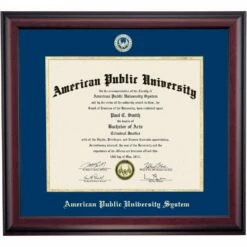 American Public University System School Color Traditional Diploma Frame