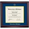 Michigan School Color Traditional For PhD, Dentistry And Law Degrees Diploma Frame -gift shop DS SHE T C7 NY UMI