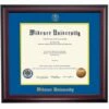Widener School Color Traditional Diploma Frame