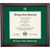Michigan State School Color Traditional For Medical Degree Diploma Frame -gift shop DS SHE T C8 HE MST