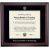 Georgia Institute Of Technology School Color Traditional Diploma Frame -gift shop DS SHE T C9 BG GAT