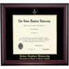 Johns Hopkins Bloomberg School Color Traditional Diploma Frame