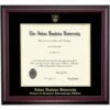 Johns Hopkins SAIS School Color Traditional Diploma Frame