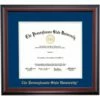 Penn State School Color Traditional Diploma Frame For Medical Degree