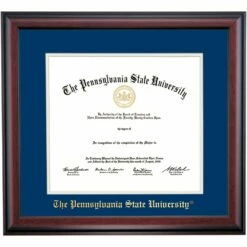 Penn State School Color Traditional Diploma Frame For Medical Degree
