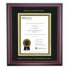 American Nurses Credentialing Center Traditional Certificate Frame -gift shop DS SHE T CG BGV BCN