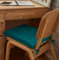 Bridgette Velvet Seat Cushion -gift shop Teal 007