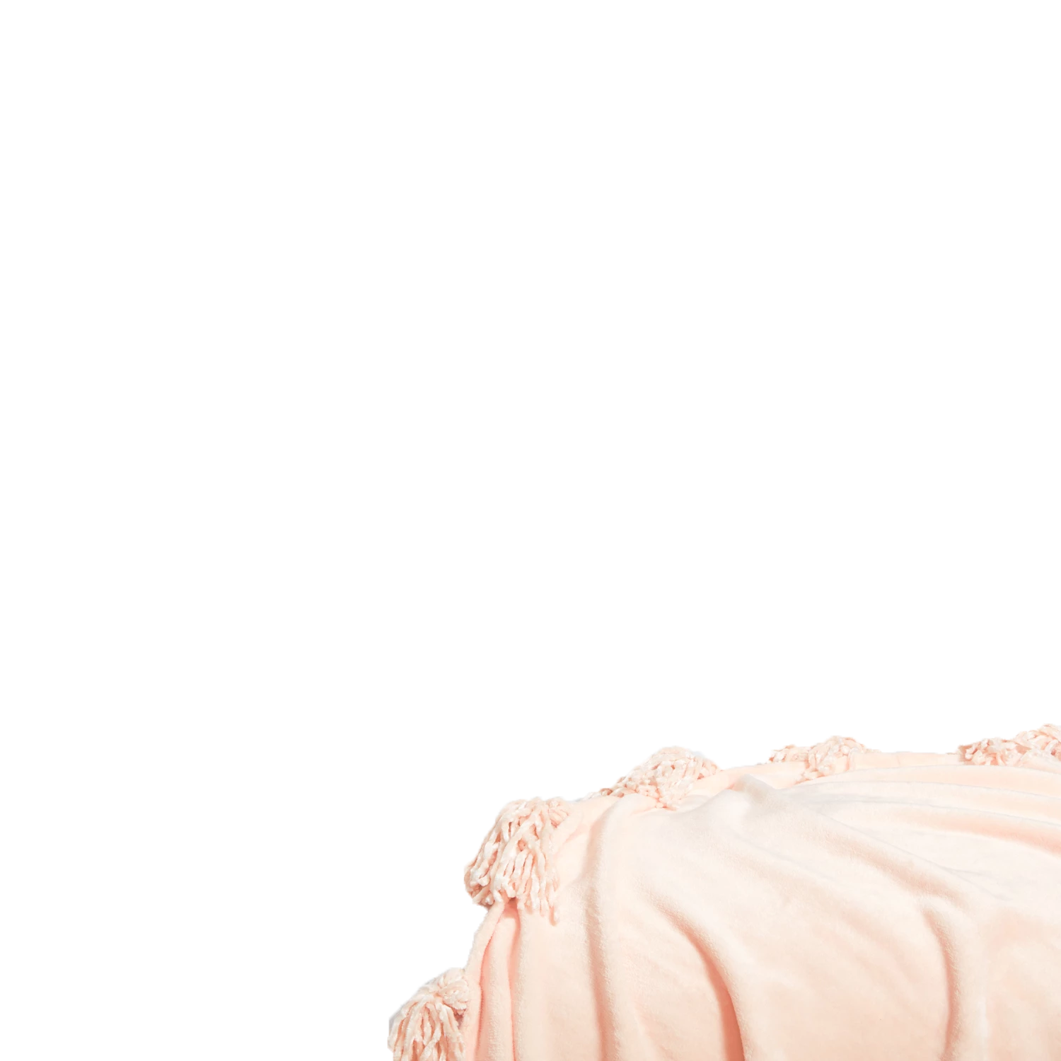 Madison Plush Tassel Throw Blanket 11 Madison Plush Tassel Throw Blanket - Image 9